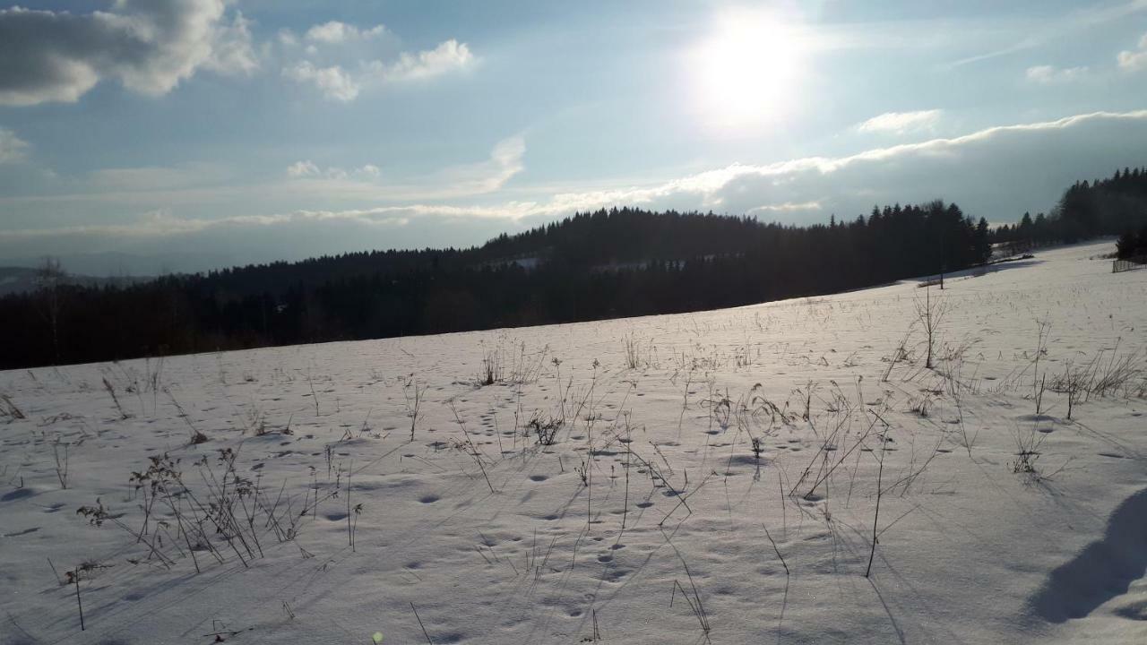 Domek W Beskidach Zachelmna Экстерьер фото